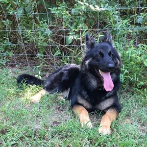 Meet your Posher, Angie